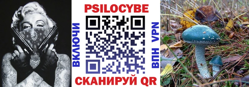 Псилоцибиновые грибы мухоморы  Купить  Кувшиново 